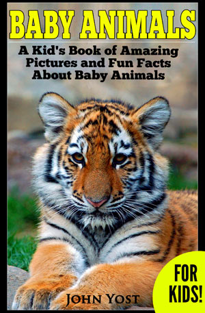 Baby Animal Facts for Kids