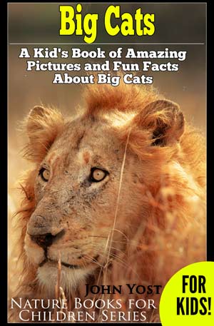 Big Cat Facts for Kids