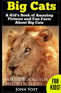 Big Cat Facts for Kids